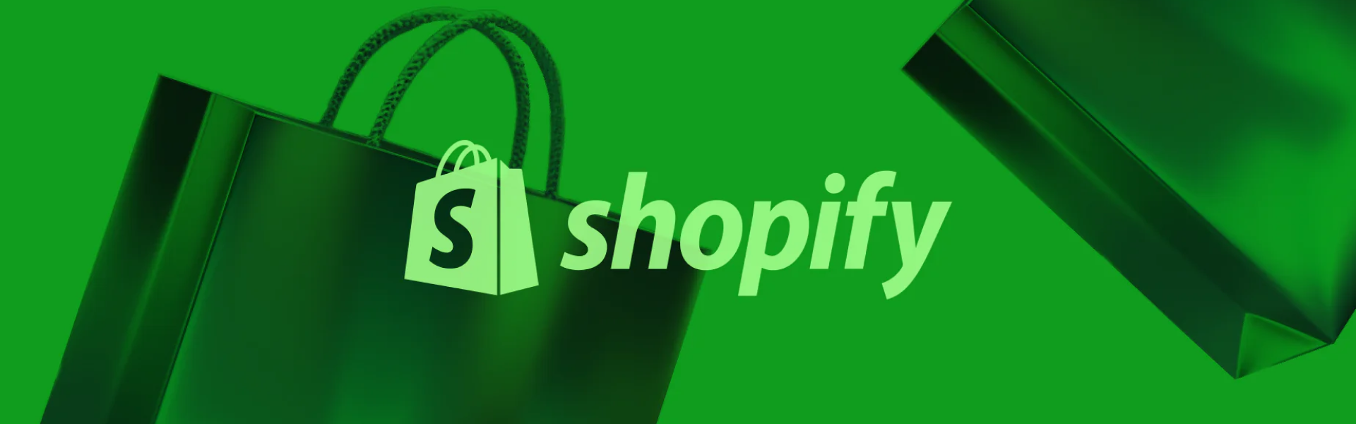 What is Shopify B2B Ecommerce Website?